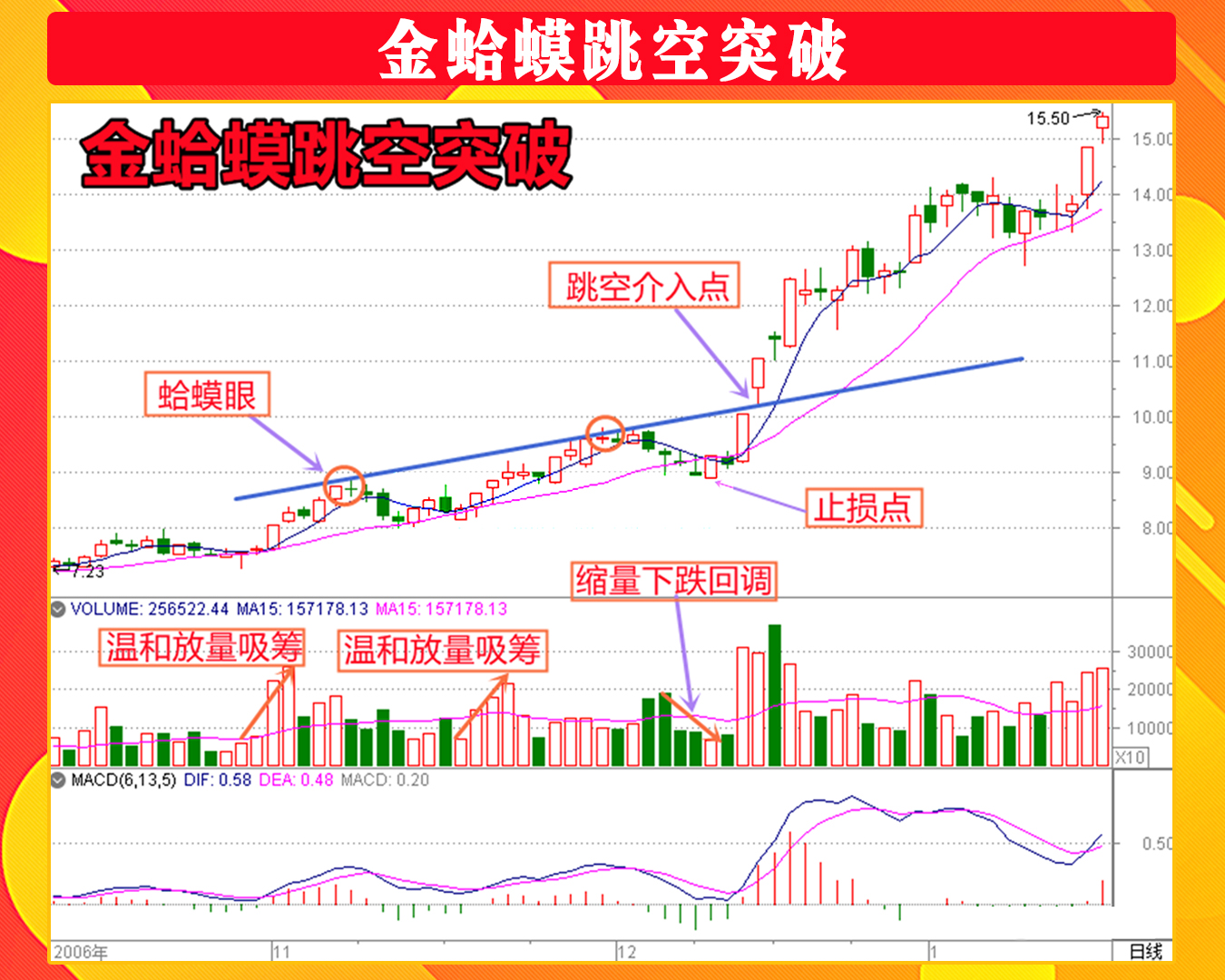 金蛤蟆形态能涨三倍图片