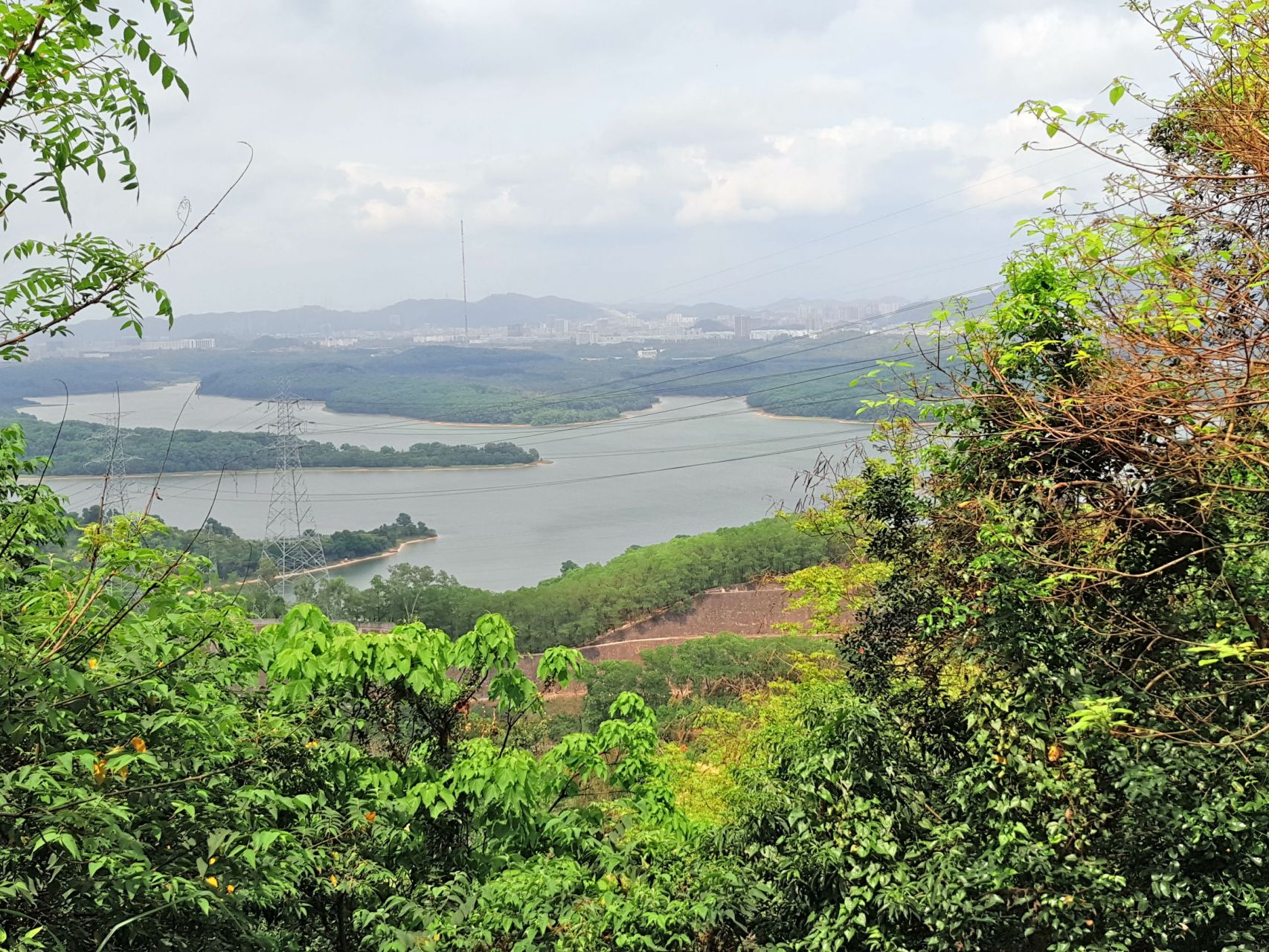 几乎每年都要去一趟的宝安平峦山  平峦山公园目前宝安这边几乎较大的