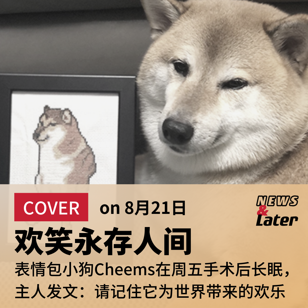 8月21日信息差|cheems/女足世界杯/张伟丽