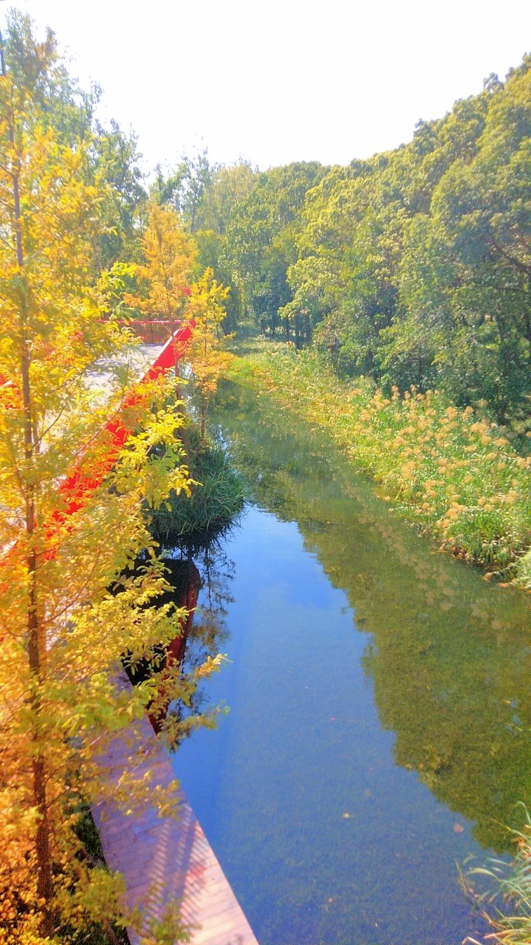 嘉兴放鹤洲生态公园犹如仙境