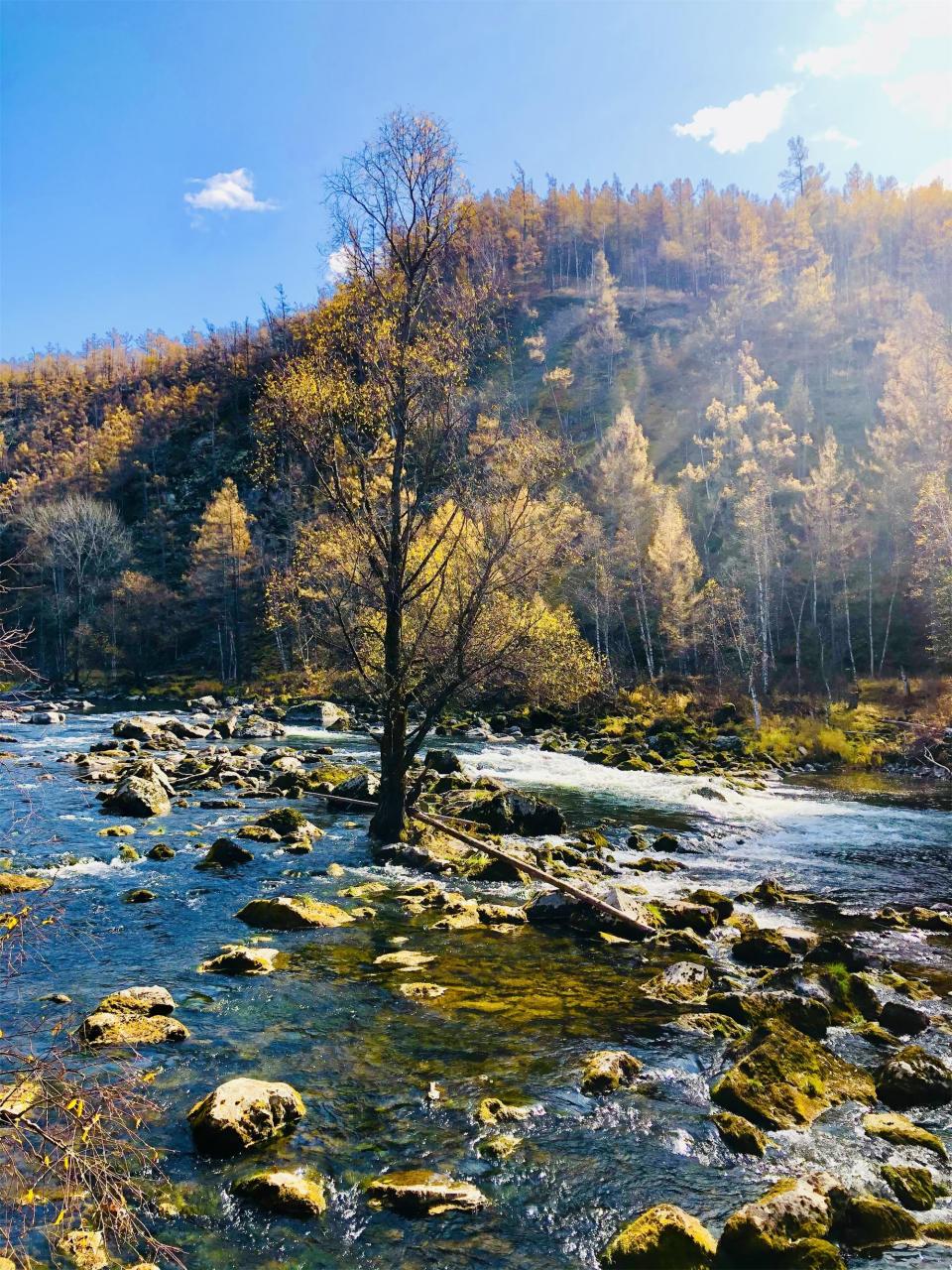 秋天风景# 秋水伊人