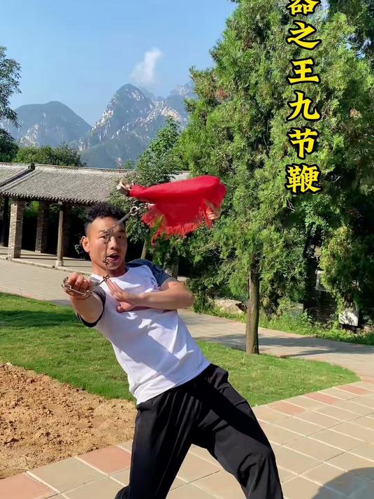 软兵器之王九节鞭