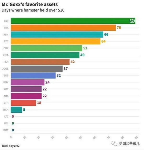 一只炒加密货币的小仓鼠 业绩打败了人类