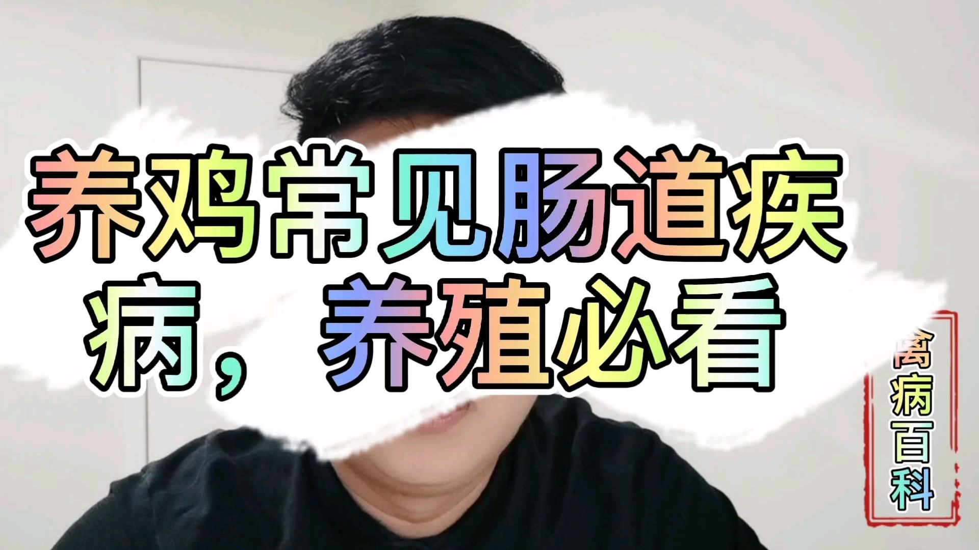 鸡常见肠道疾病,血便,水样便,饲料便,都是这样疾病引起的
