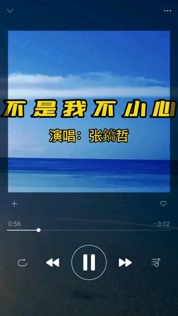 不是我不小心(张镐哲演唱)