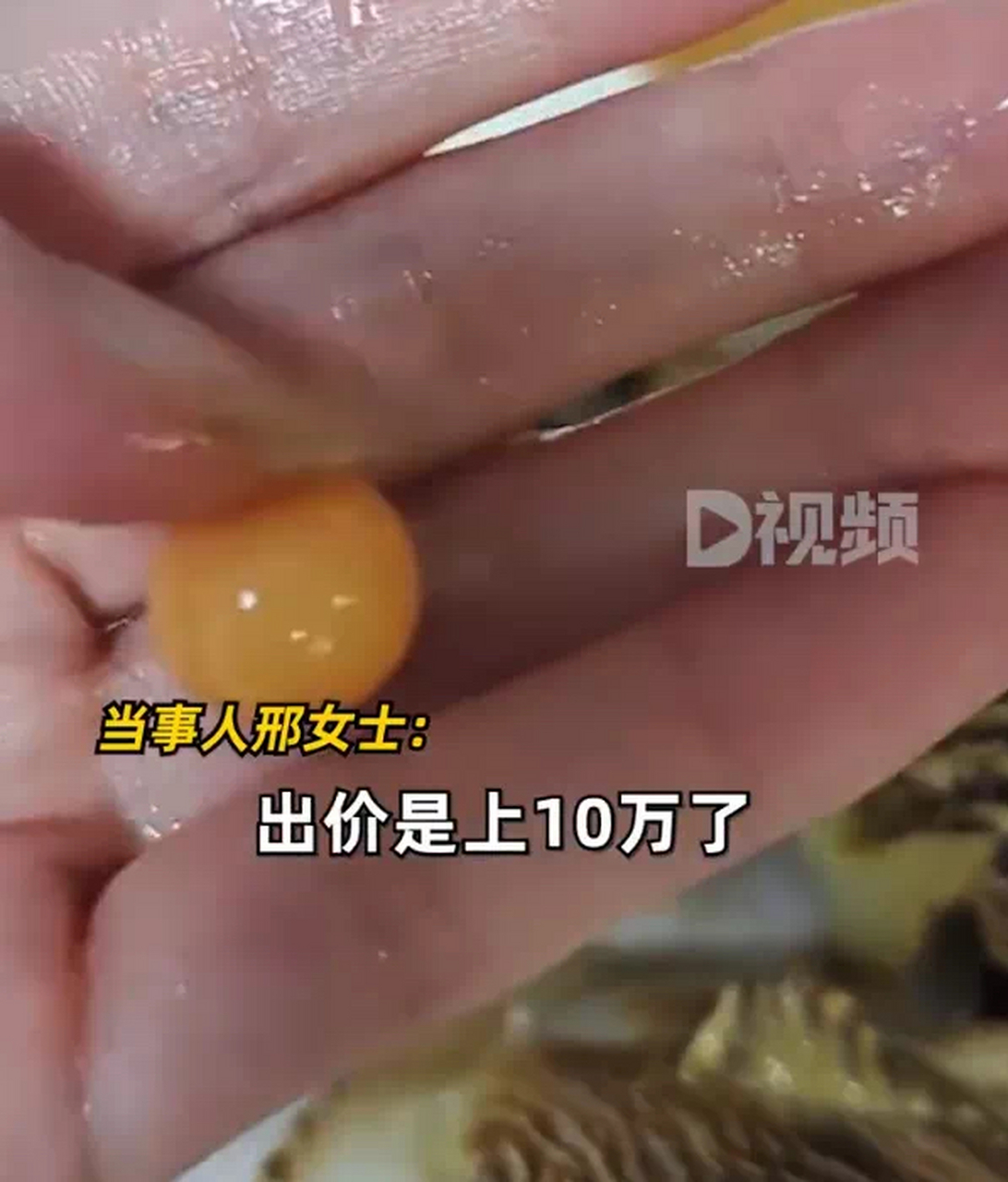52克美乐珠,当事人:有珠宝商出价上十万,但没有谈拢,感觉自己很幸运.