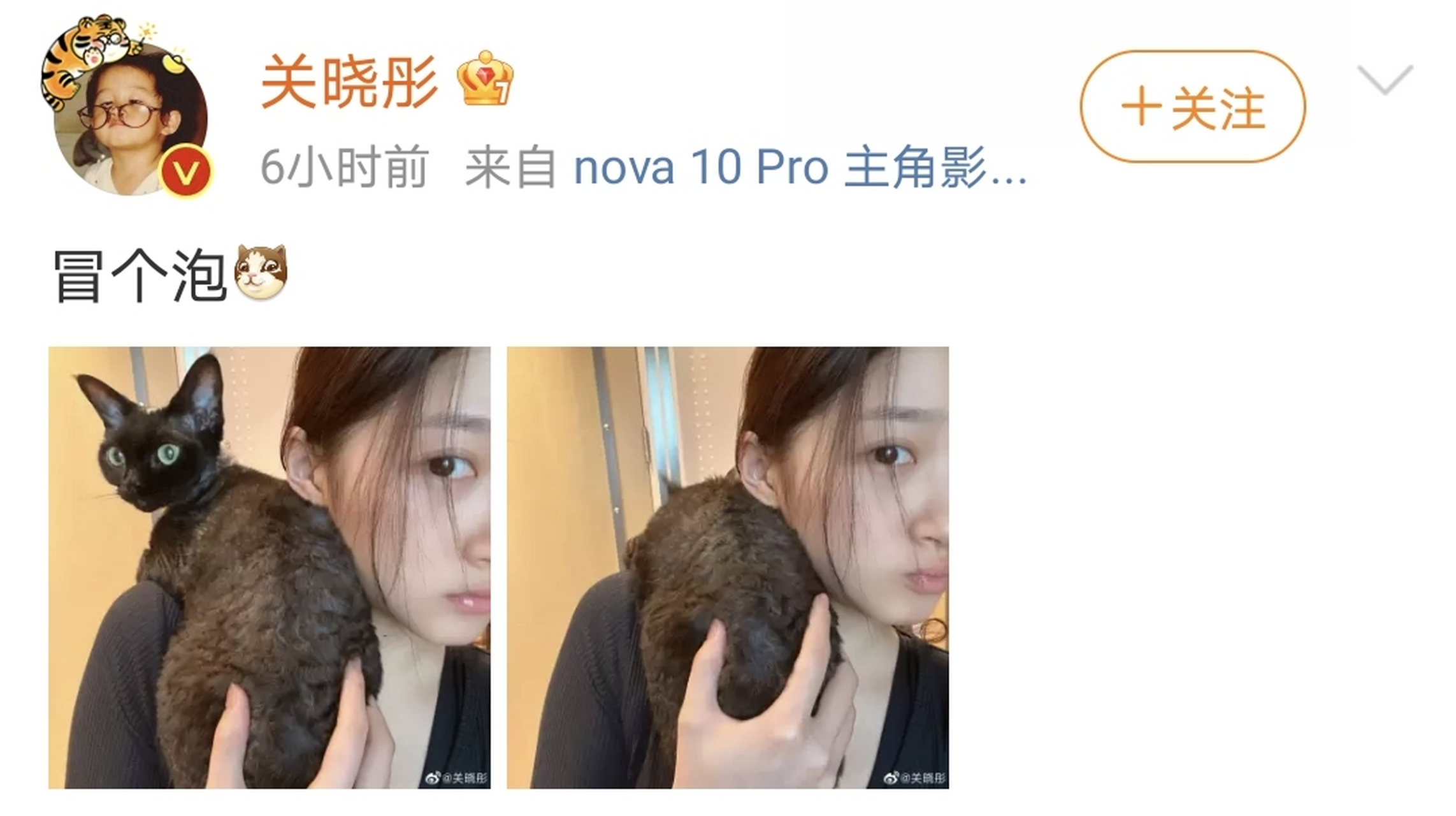 【关晓彤晒抱猫怼脸自拍】关晓彤分享出抱猫怼脸两宫格自拍照,一时不