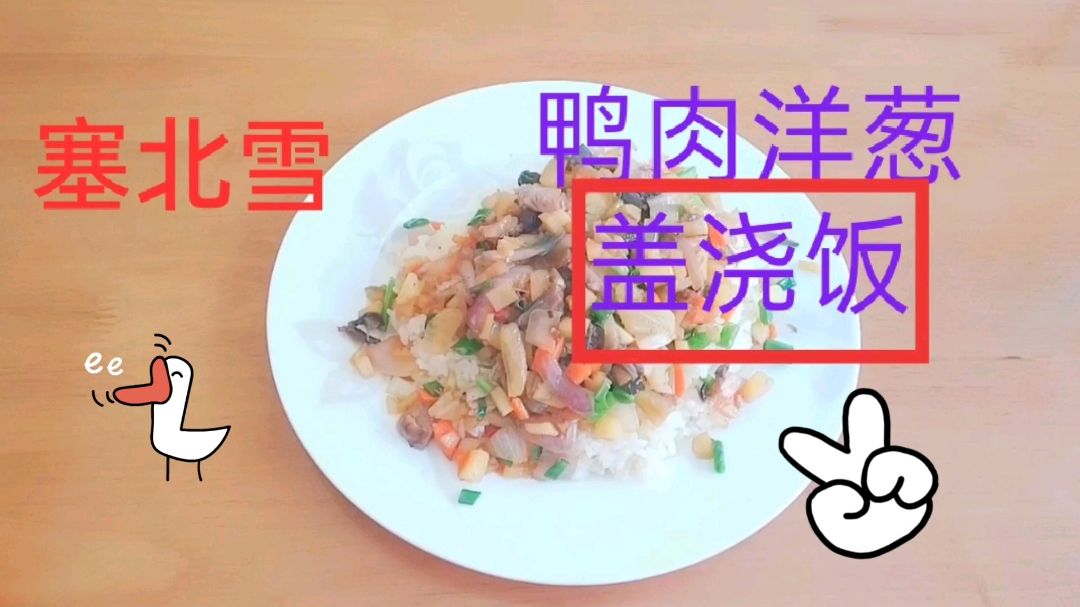 塞北雪自制 酱鸭肉 洋葱 土豆 盖浇饭 营养美味简单易学