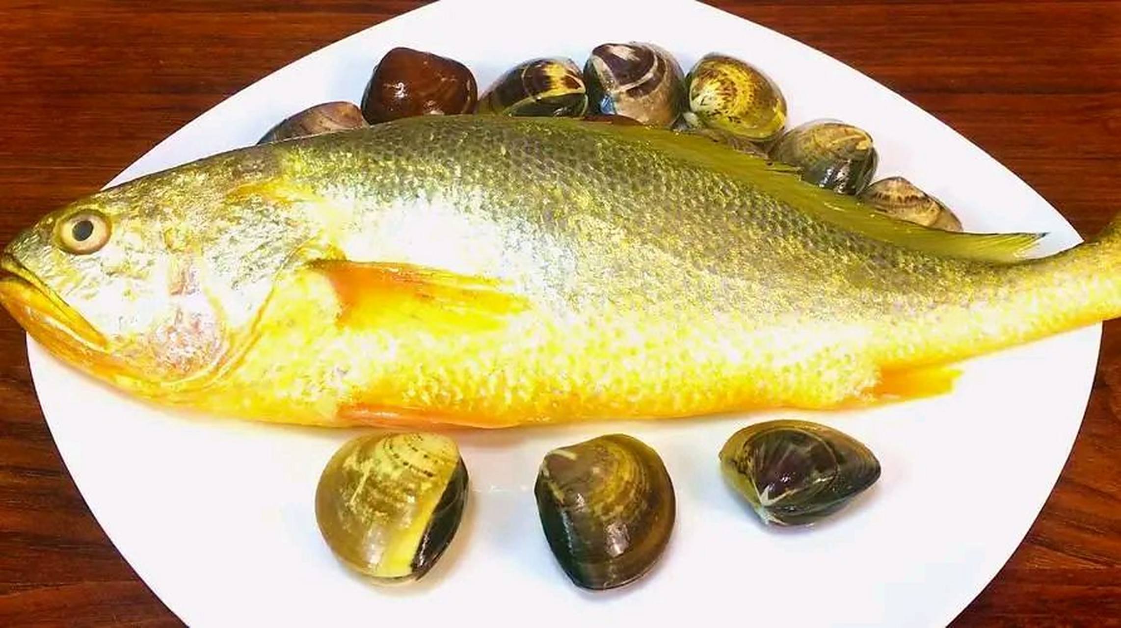 浙江龙港渔民意外捕到86斤野生大黄鱼,被拦在码头以42万元买走  前言 