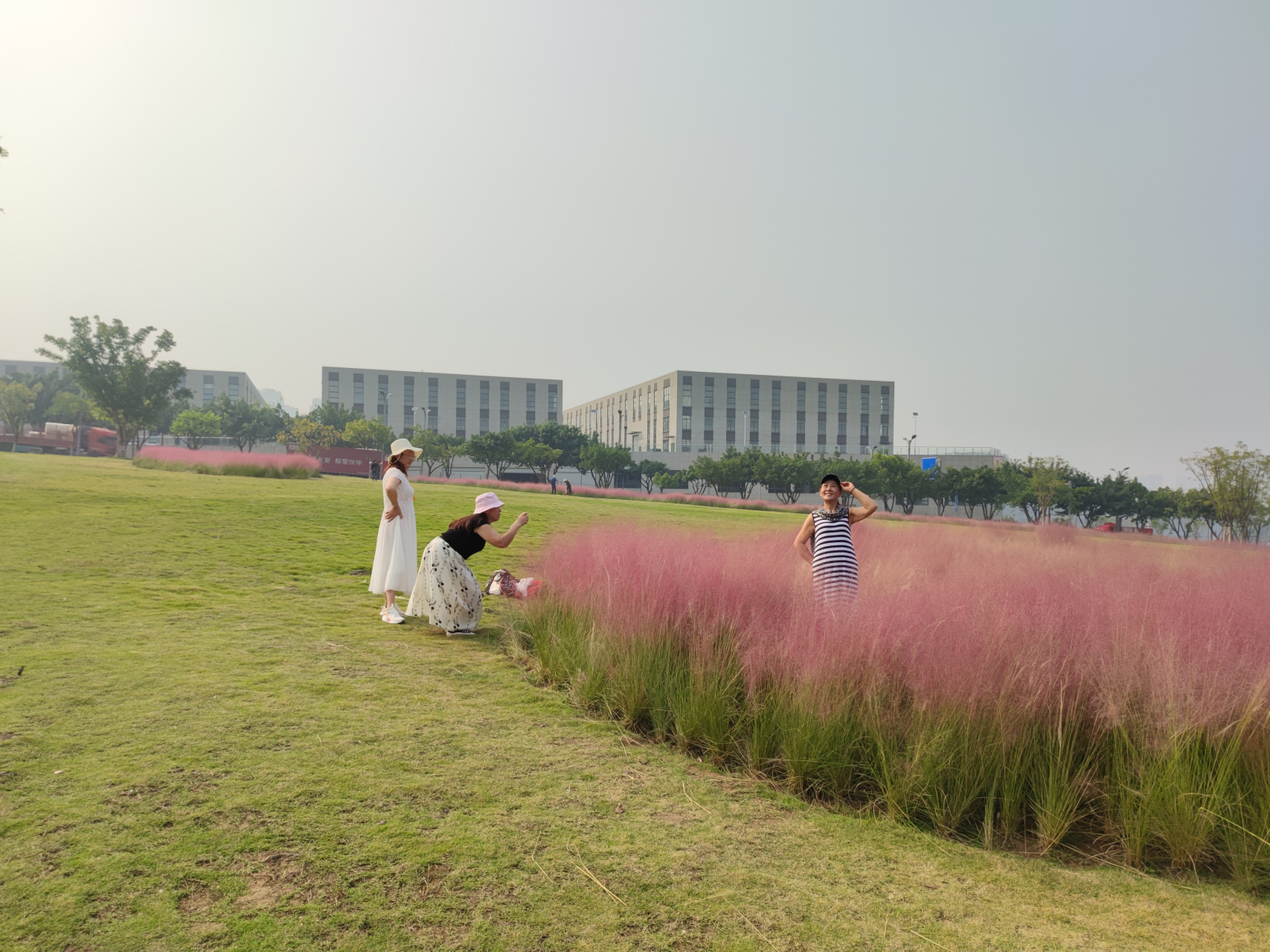 两江粉黛山公园图片