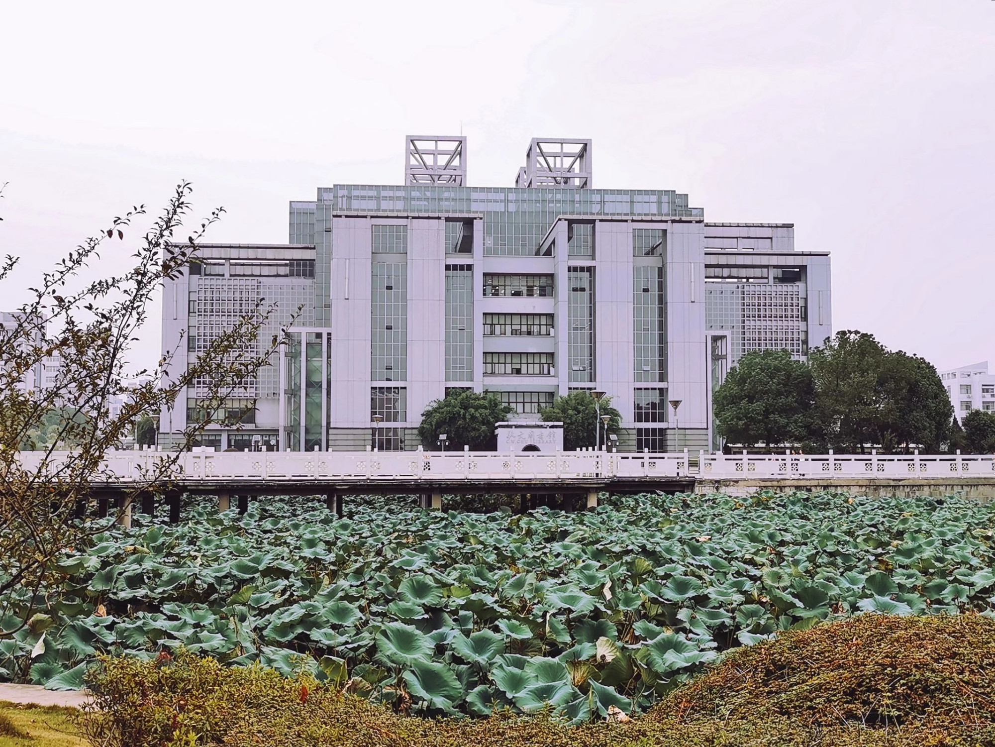 又到大学期末考试季,图书馆众像之安徽师范大学