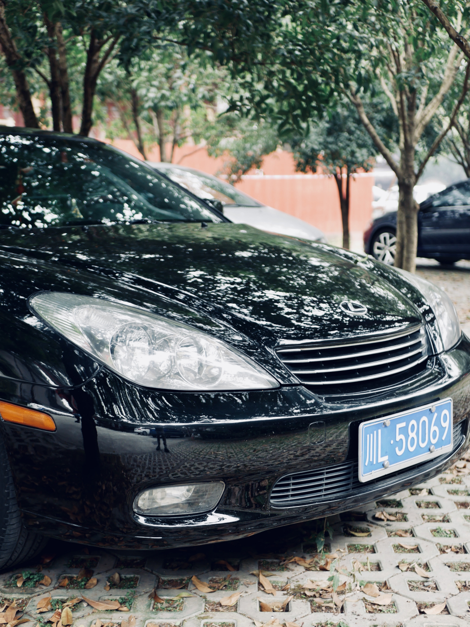这么多年依然靓 路遇一台雷克萨斯es330,查了下2005款,v6,3
