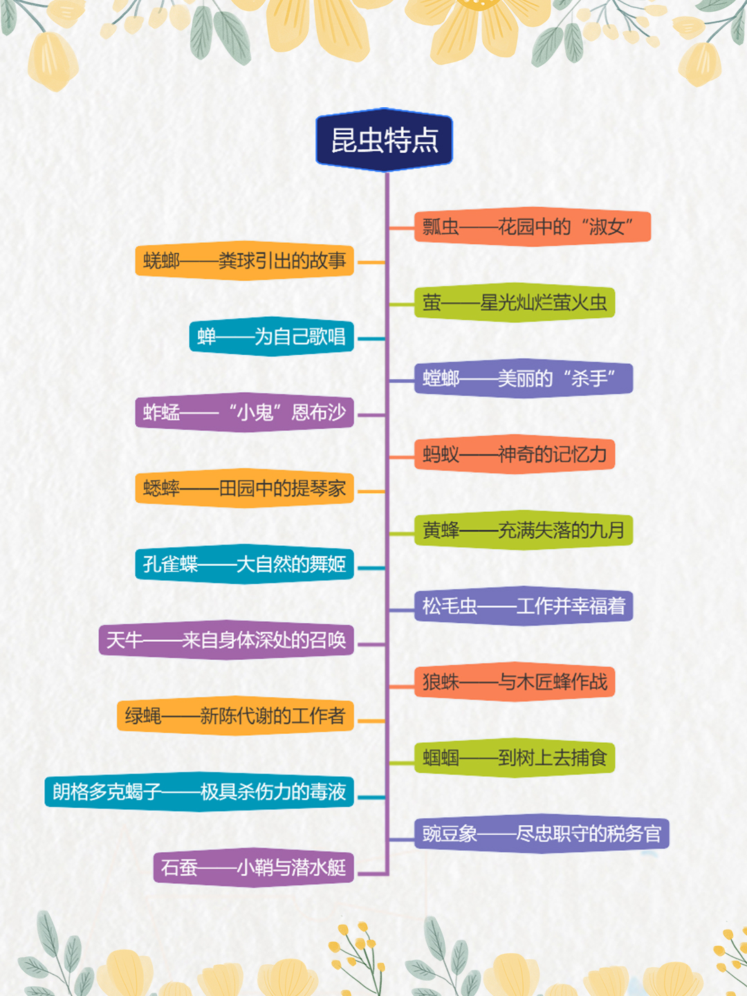 昆虫图片加文字介绍图片