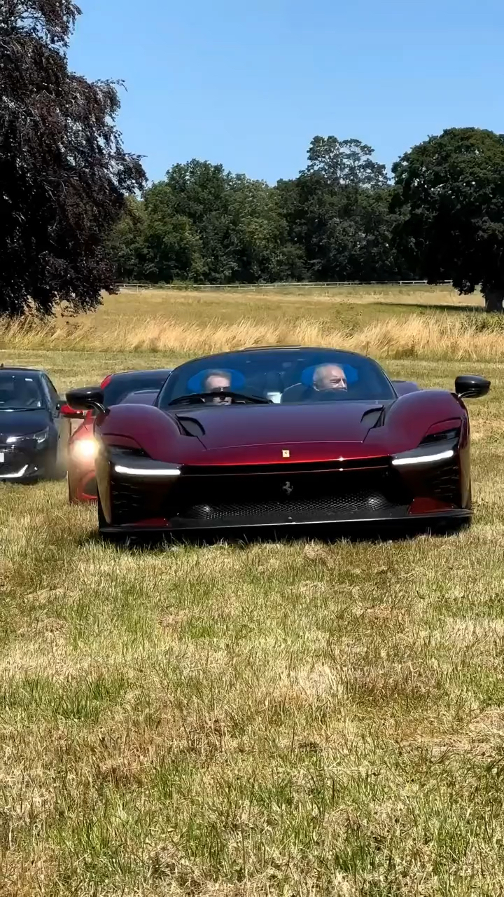 最后的在玩蛇法拉利阿尔法罗密欧