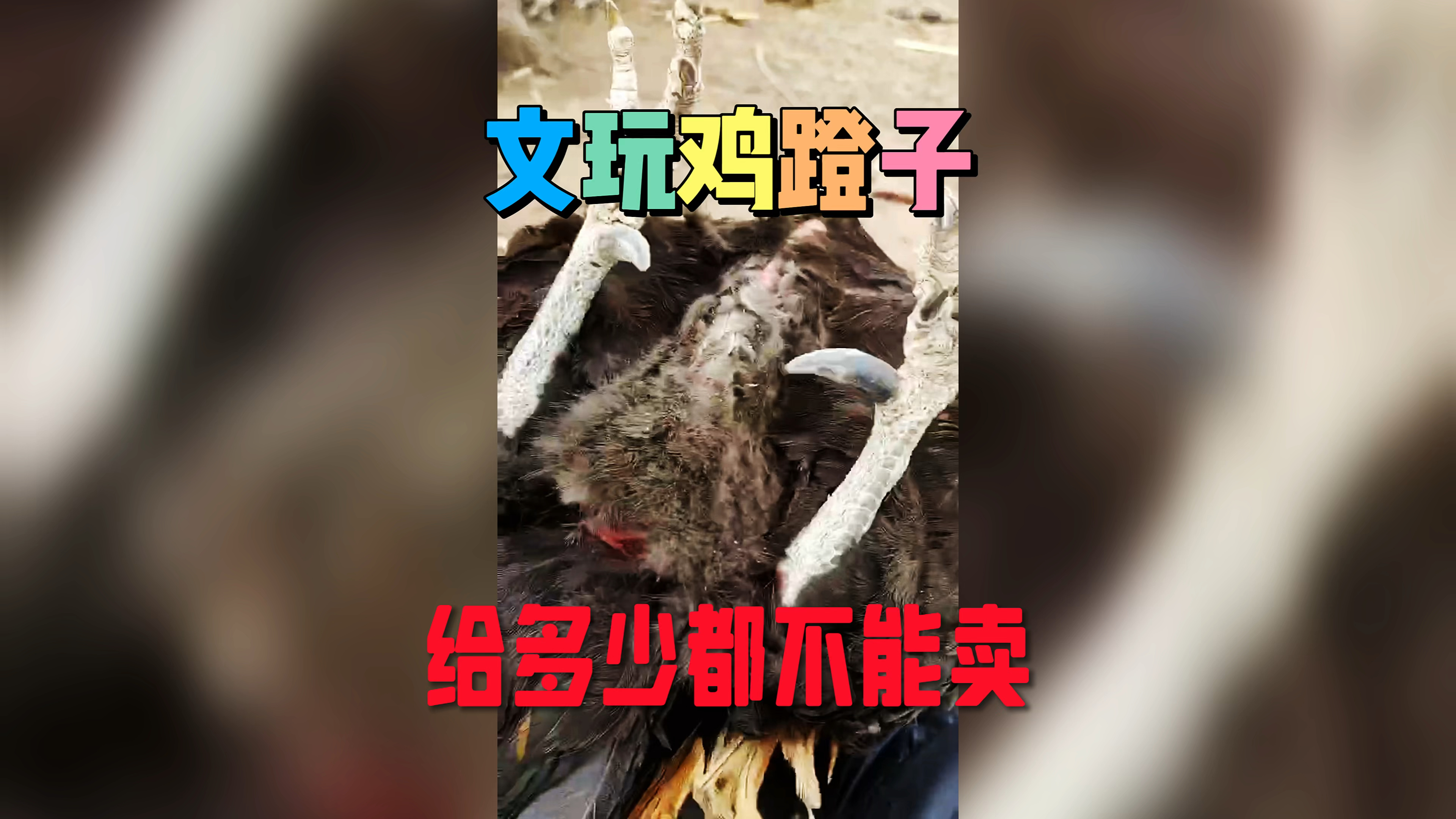 盘点一下文玩鸡蹬子