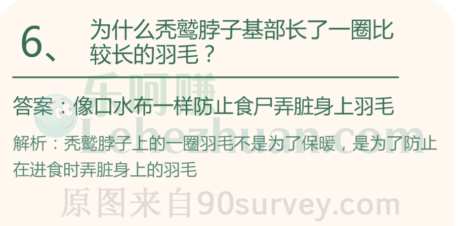 为什么秃鹫脖子基部长了一圈比较长的羽毛?答案:像口水布一样防止食尸弄脏身上羽毛 为什么秃鹫脖子基部长了一圈比较长的羽毛?答案:像口水布一样防止食尸弄脏身上羽毛