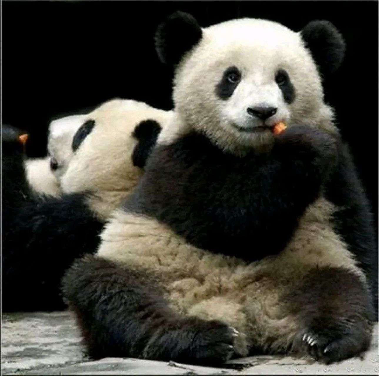 喜淘淘宝贝,你红的年代还没有普及互联网和手机拍照;能找到宝贝童年的