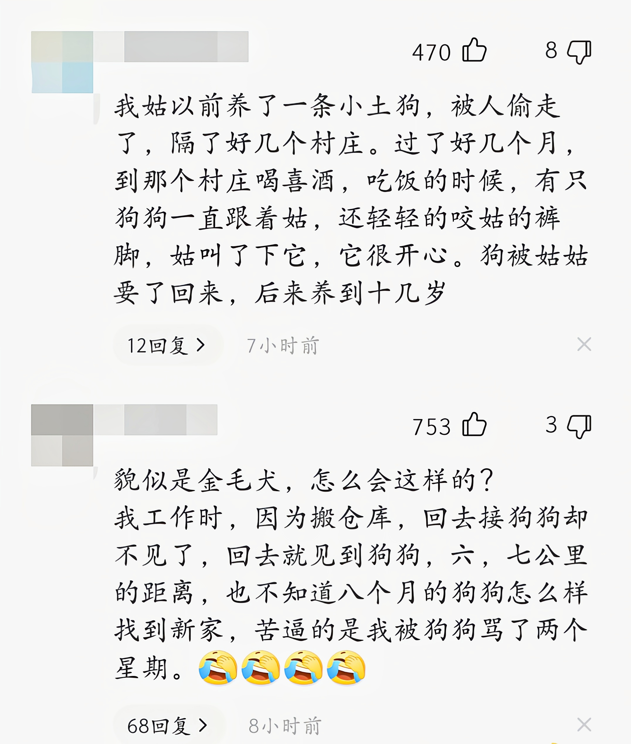 男子走亲戚,偶遇走失一年的狗狗,和现主人沟通后带回一窝狗崽