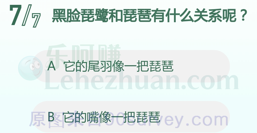 黑脸琵鹭的嘴像一把琵琶 黑脸琵鹭的嘴像一把琵琶