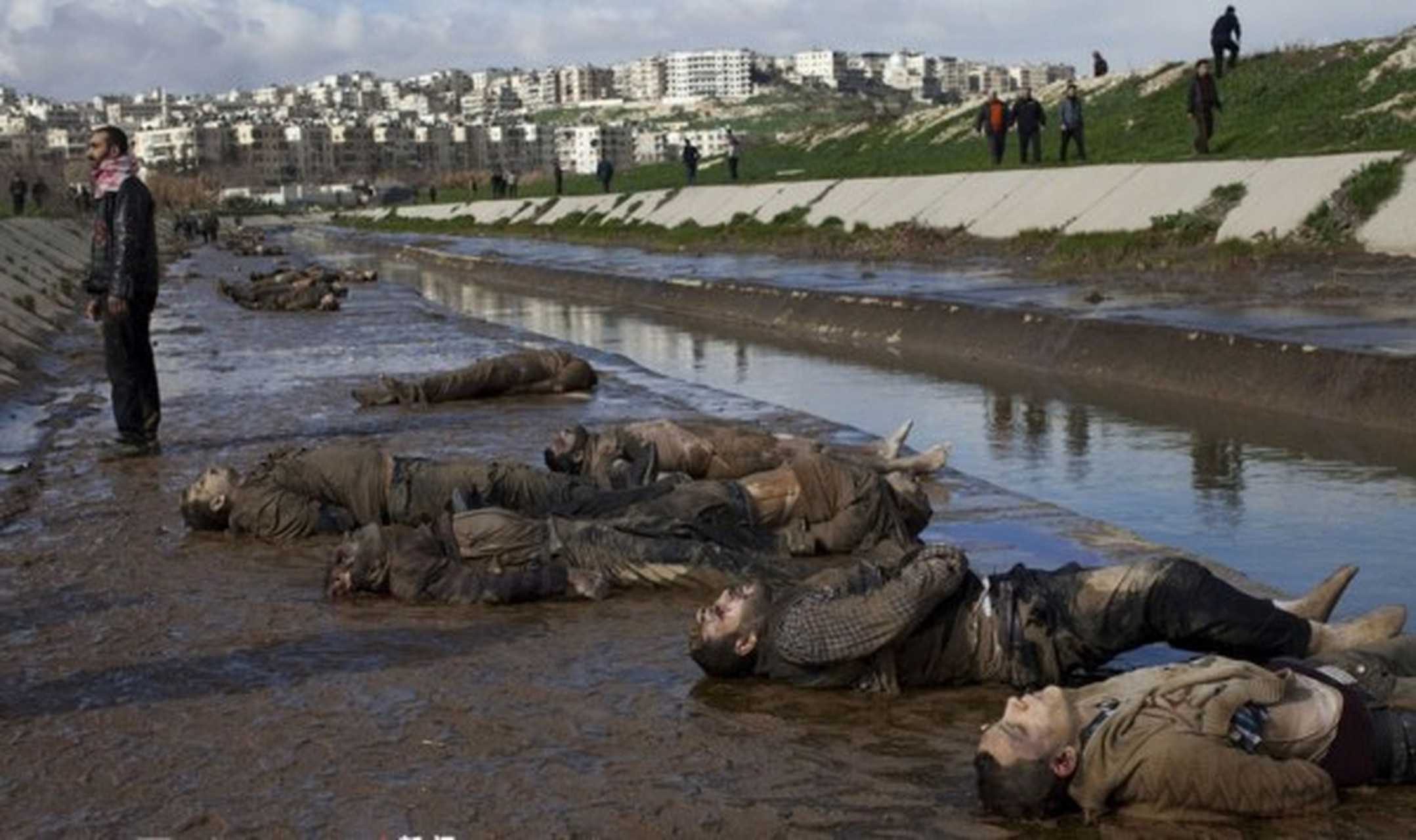 战争是残酷的,亲兄弟何必反目成仇,互相残杀呢?