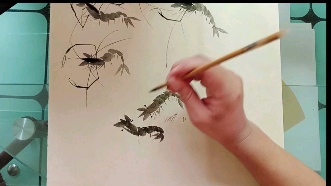 国画虾的画法,用笔与用墨初学者基础教学