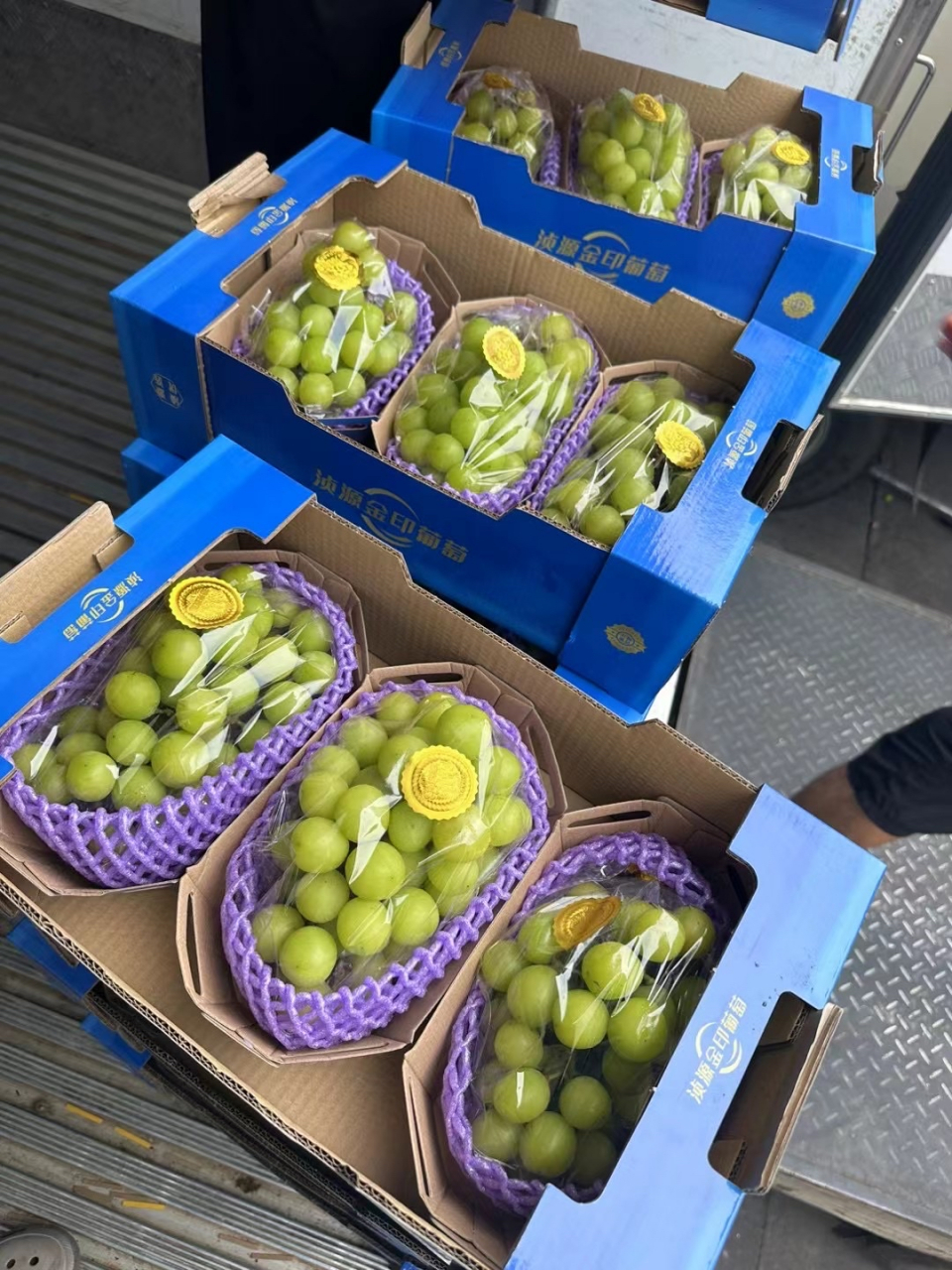 黄金香印 又香又甜 超级好吃