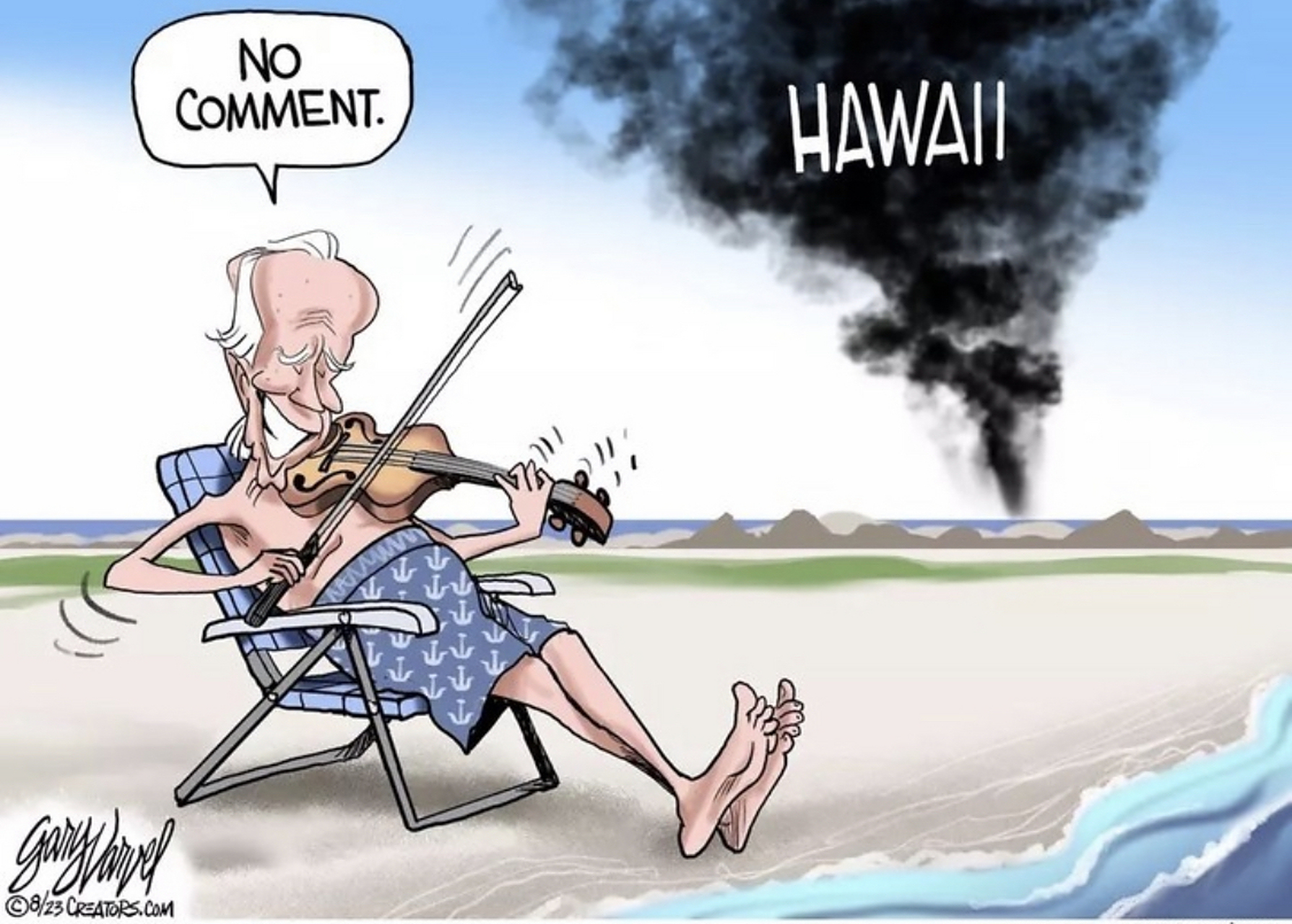 关于拜登对夏威夷山火的评价的讽刺漫画终于出来了[大笑][大笑][大笑]