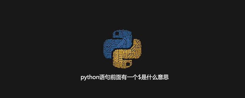 python语句前面的$是什么意思？