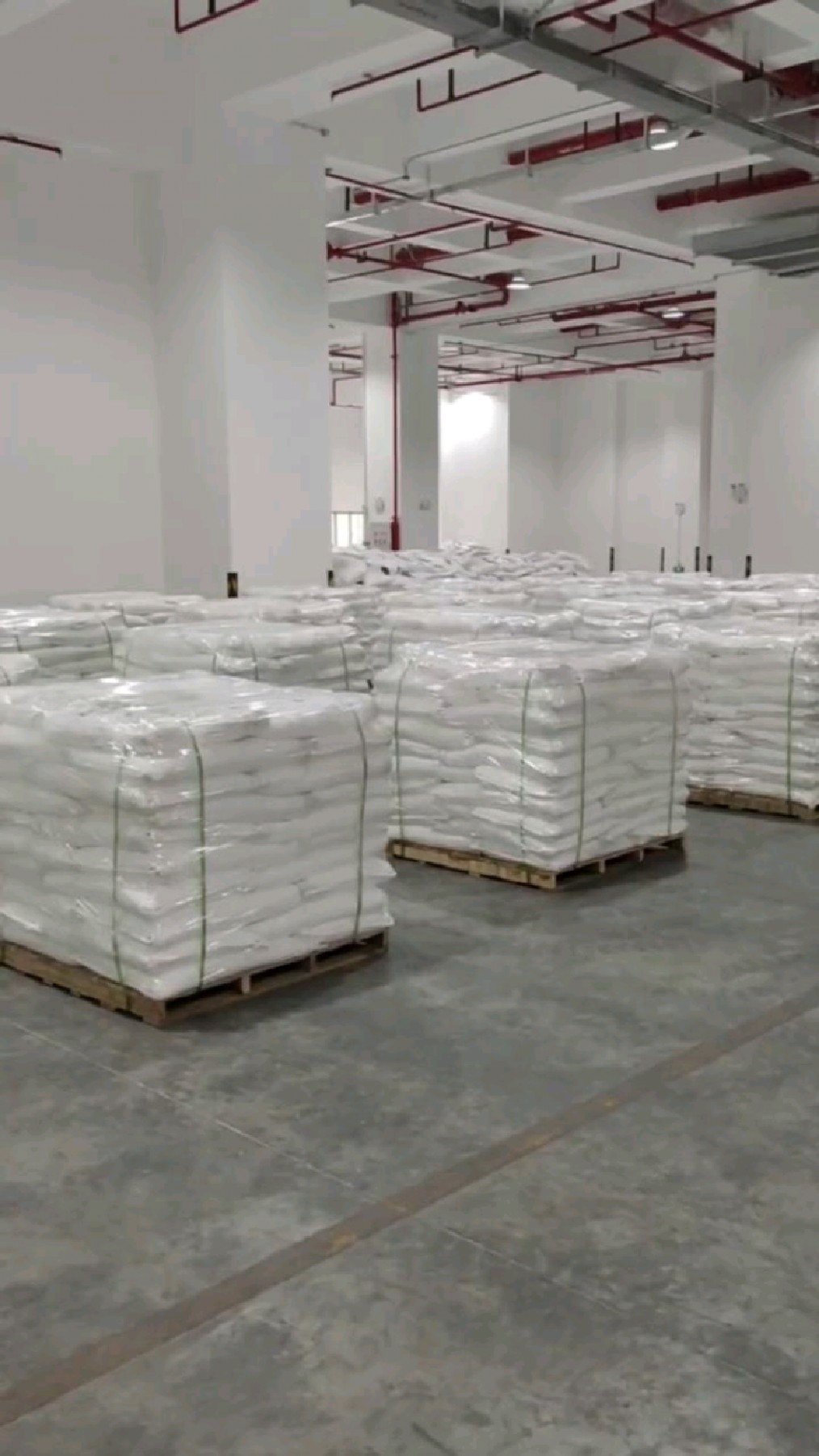 货代人南沙港仓库小包打托