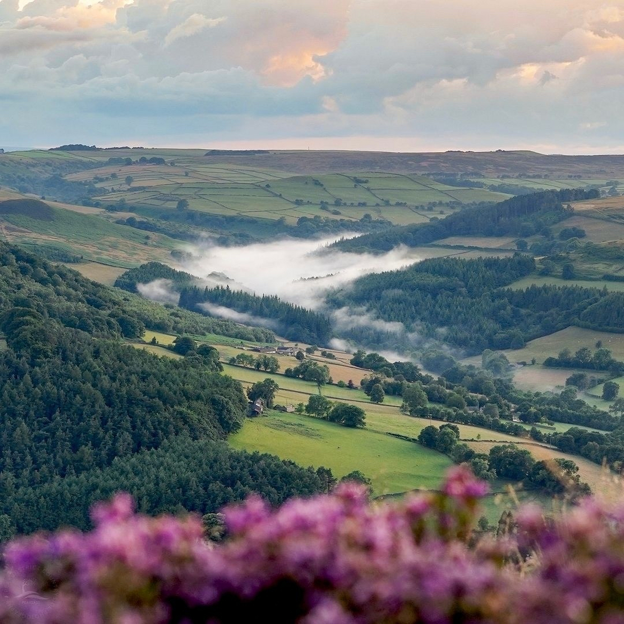 海外文旅# 英国德比郡峰区的夏日田园风光9491 . 676767