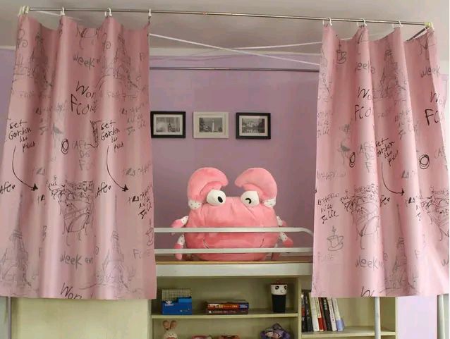 大学生宿舍装饰走红,美得不要不要的,可别忘了正事啊