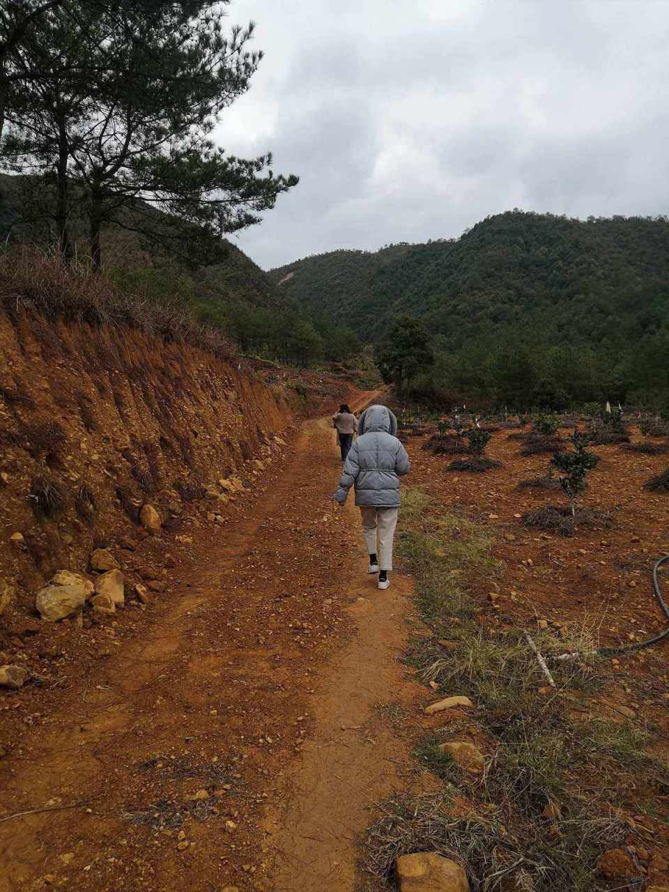 life is a path winding in the mountain, bumpy .