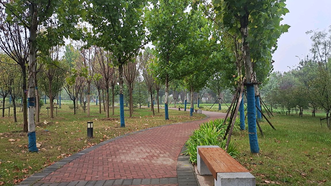 纪事:雨中游方城龙泉公园