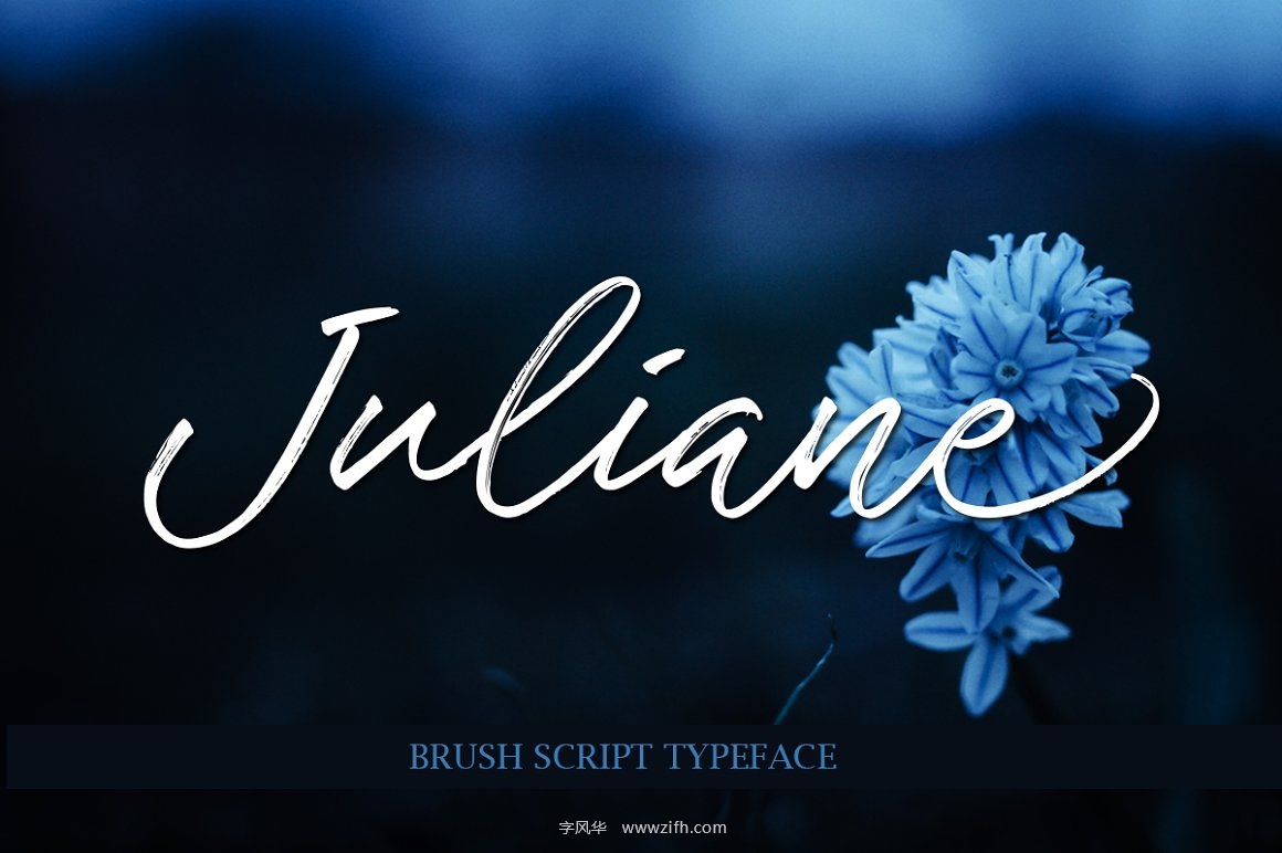 Juliane Script Font