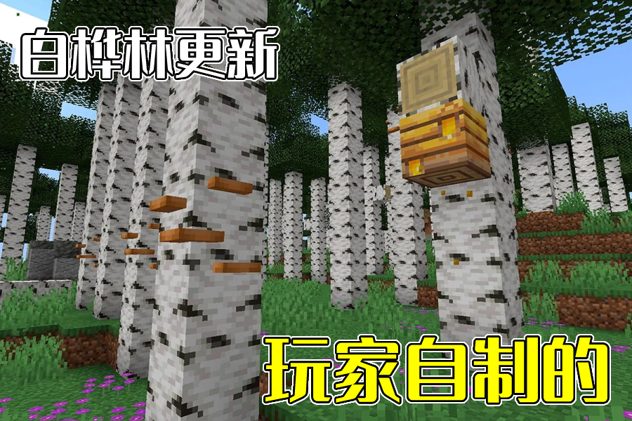 我的世界:荒野更新不荒野,1.19白桦林可能会发生哪些变化?