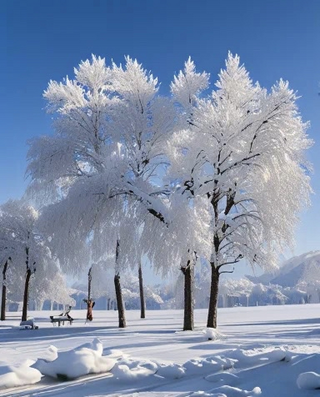 雪景的图片景色大图图片