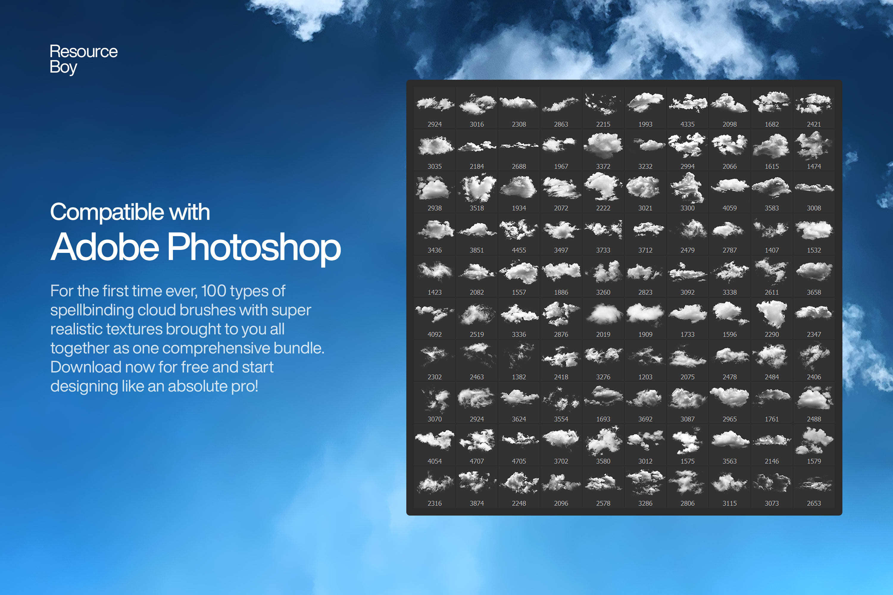 100 Cloud Photoshop Brushes-1.jpg