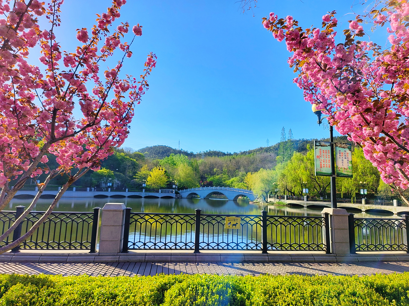 大连南山一带太美了,大连市区的花园,植物园,儿童公园,南山旅游风情街