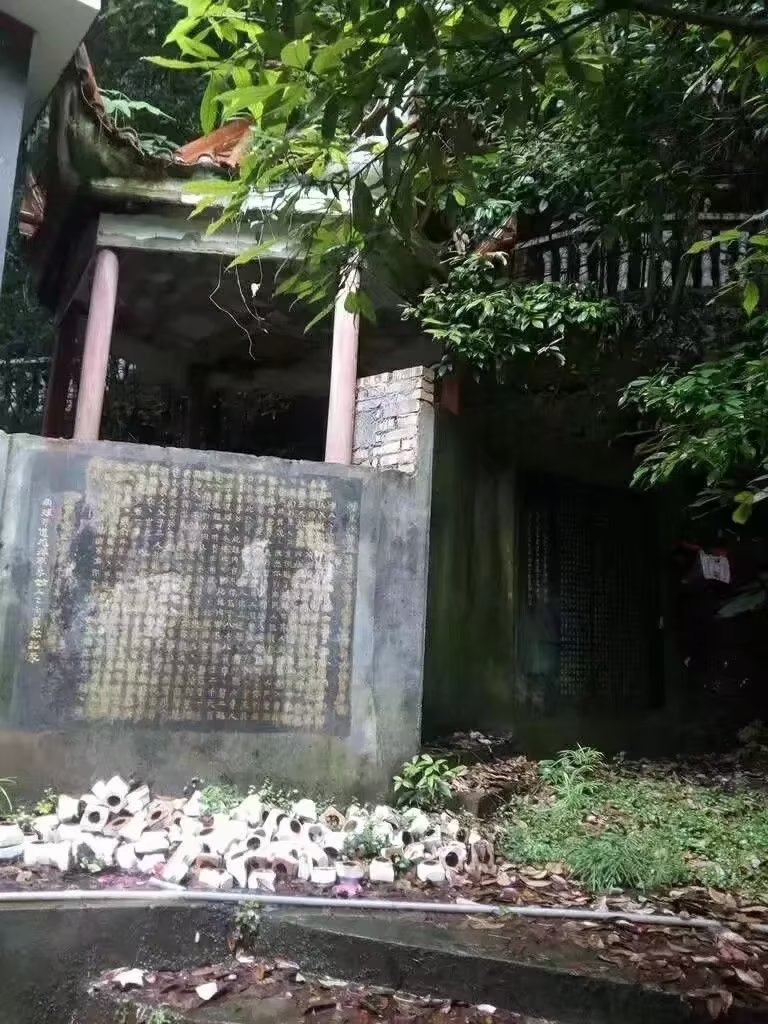 东升球外星人袁天明大将对俄罗斯普.京总统的讲话