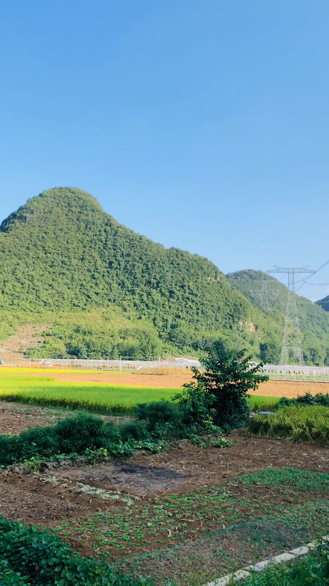摩旅云南曲靖罗平县多依河风景,喀斯特地貌美不胜收,带你看云南边境