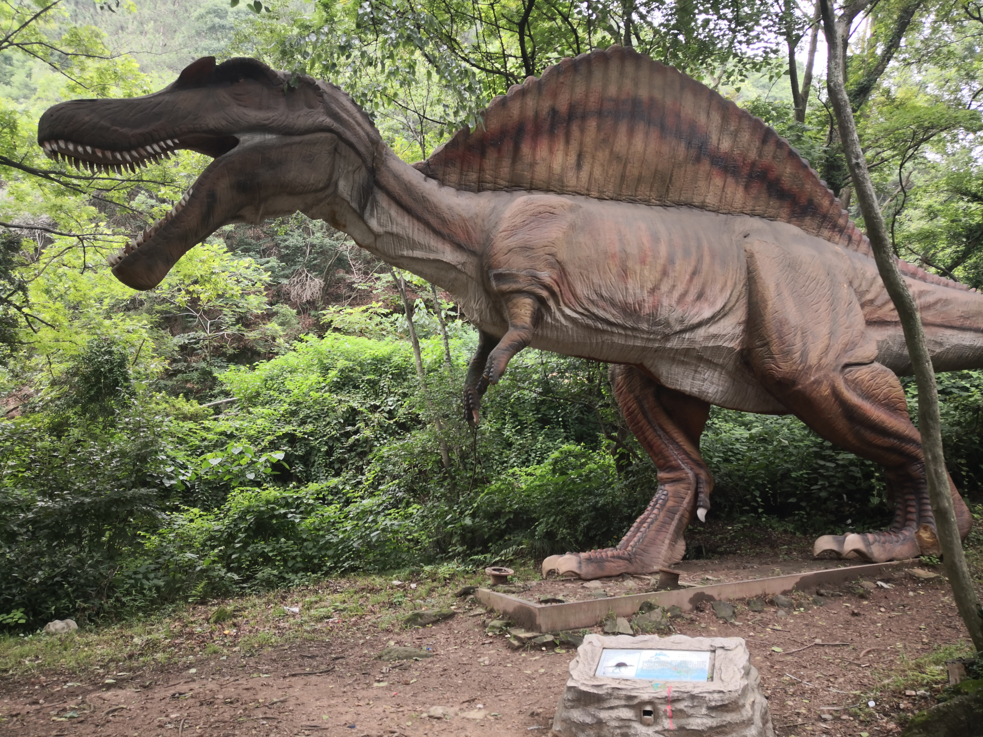 云雾山恐龙谷,设备似乎不维护,可不管怎样孩子们喜欢就够了