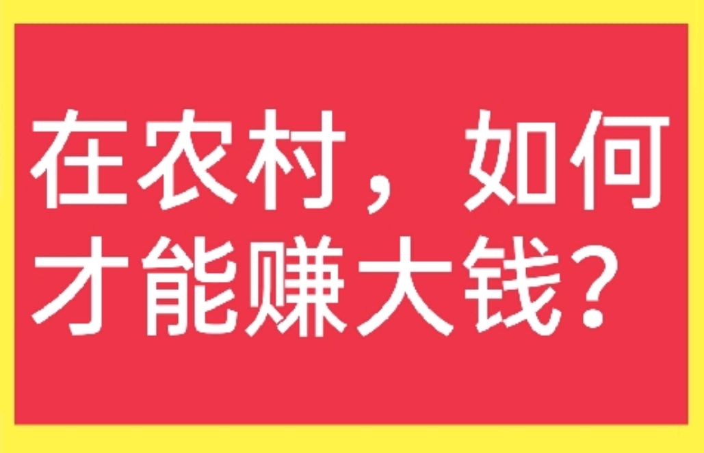 万元以下投资小项目(万元以下投资小项目有哪些)