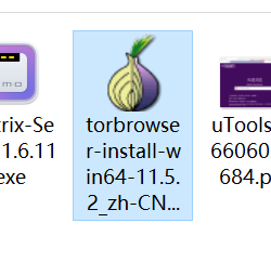 使用 TOR 浏览器下载 Z-Library 受限资源，不稳定（l临时解决办法，随时失效）
