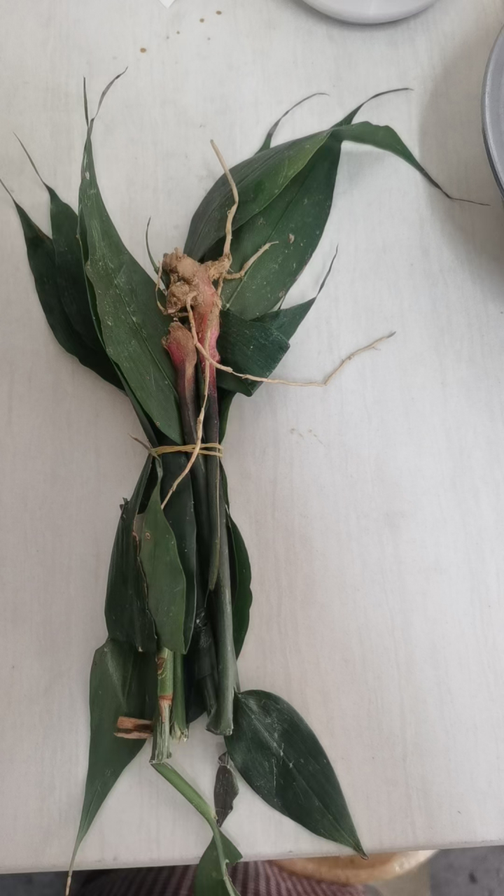 物以稀为贵,就这点山姜花了我三十块大洋,要不