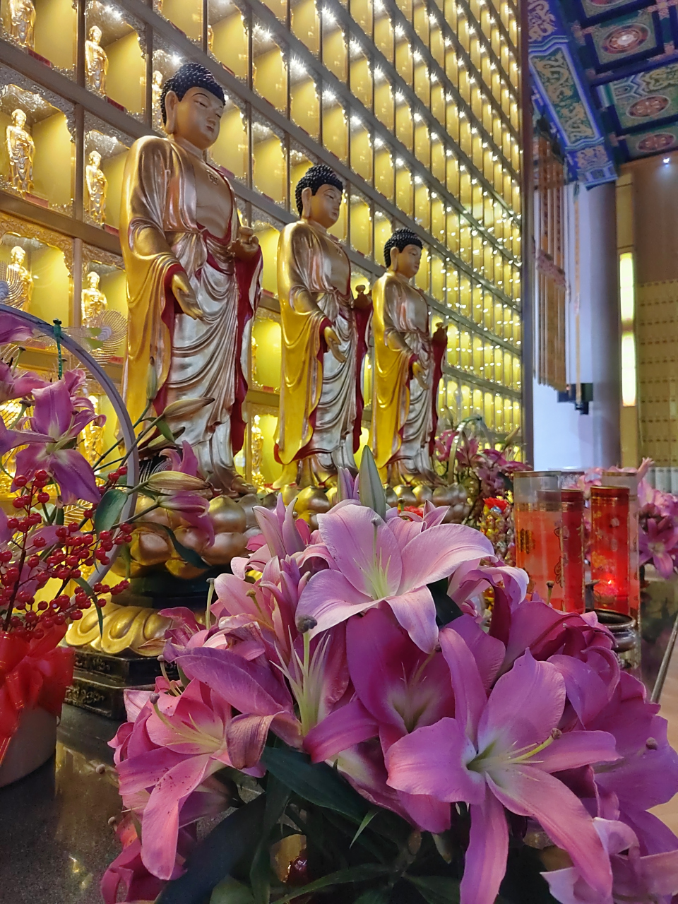 天星寺,依山而建,规模恢宏,经常举办禅修班.