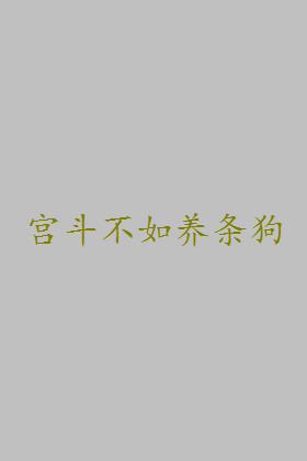 宫斗不如养条狗