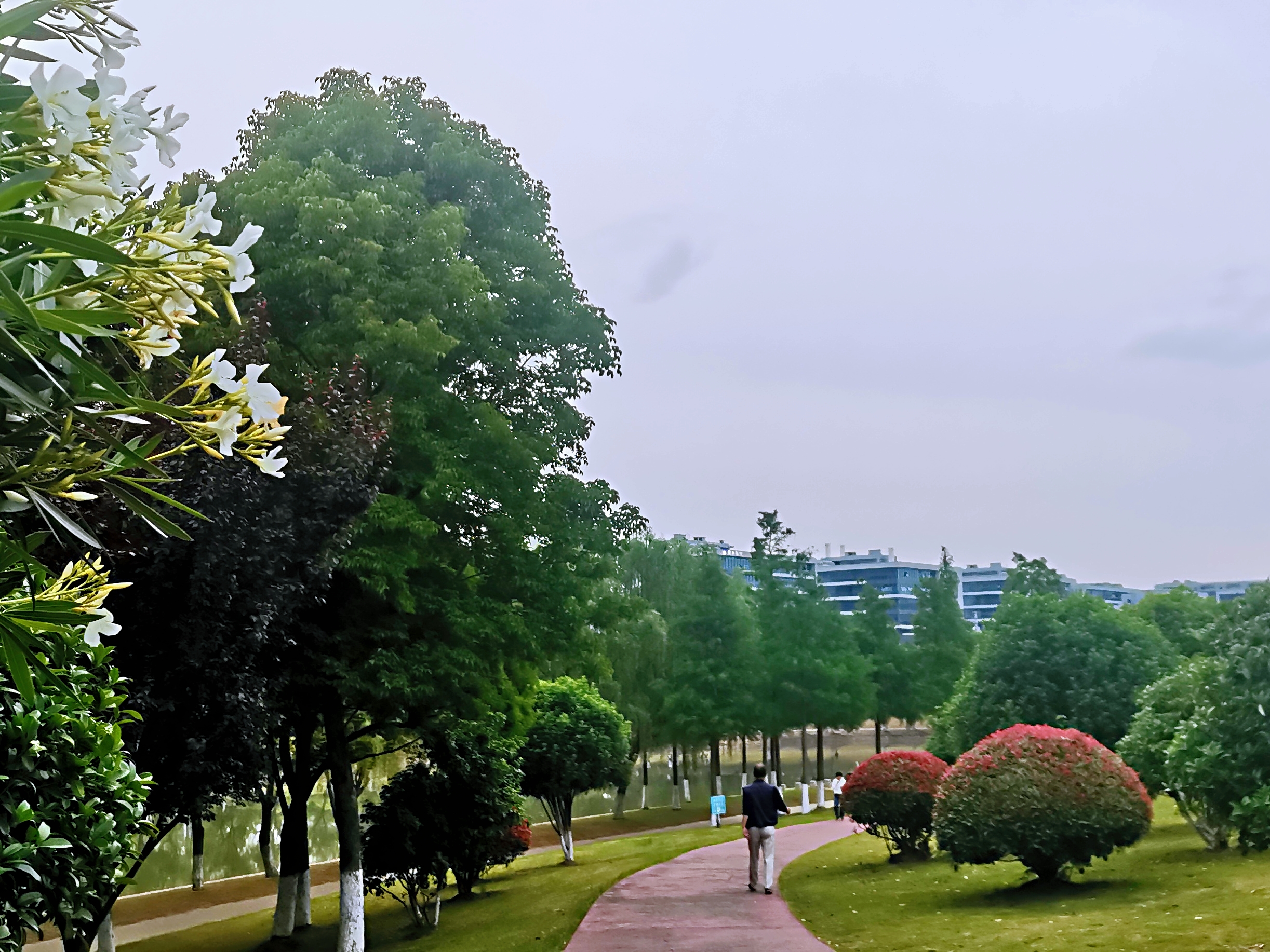 一个被南京网友忽略的小众景点,运粮河风景