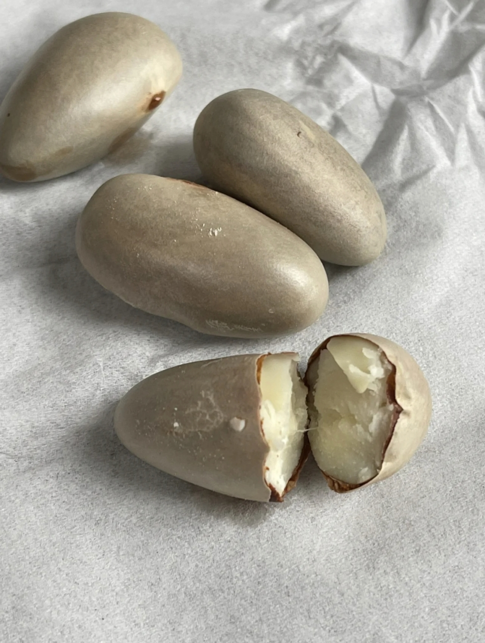 你们吃过菠萝蜜核吗,菠萝蜜核加盐煮20分钟,粉粉糯糯,和板栗差不多的