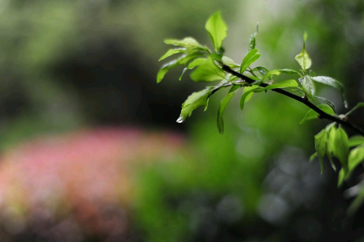做个积极的人,阳光下灿烂,风雨中奔跑,做自己的梦,走自己的路