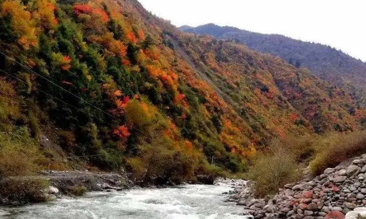 新疆温泉县旅游景点